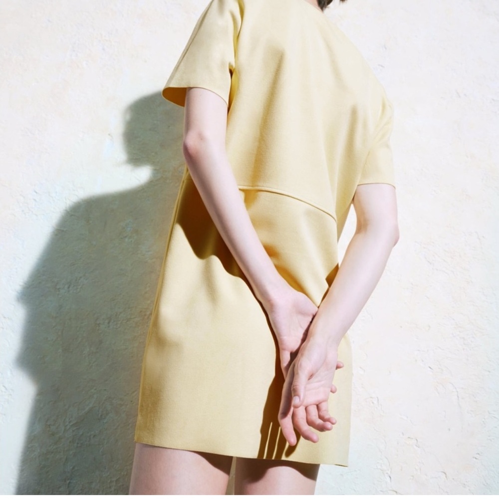 Zara beige faux suede mini dress size M - Picture 4 of 9